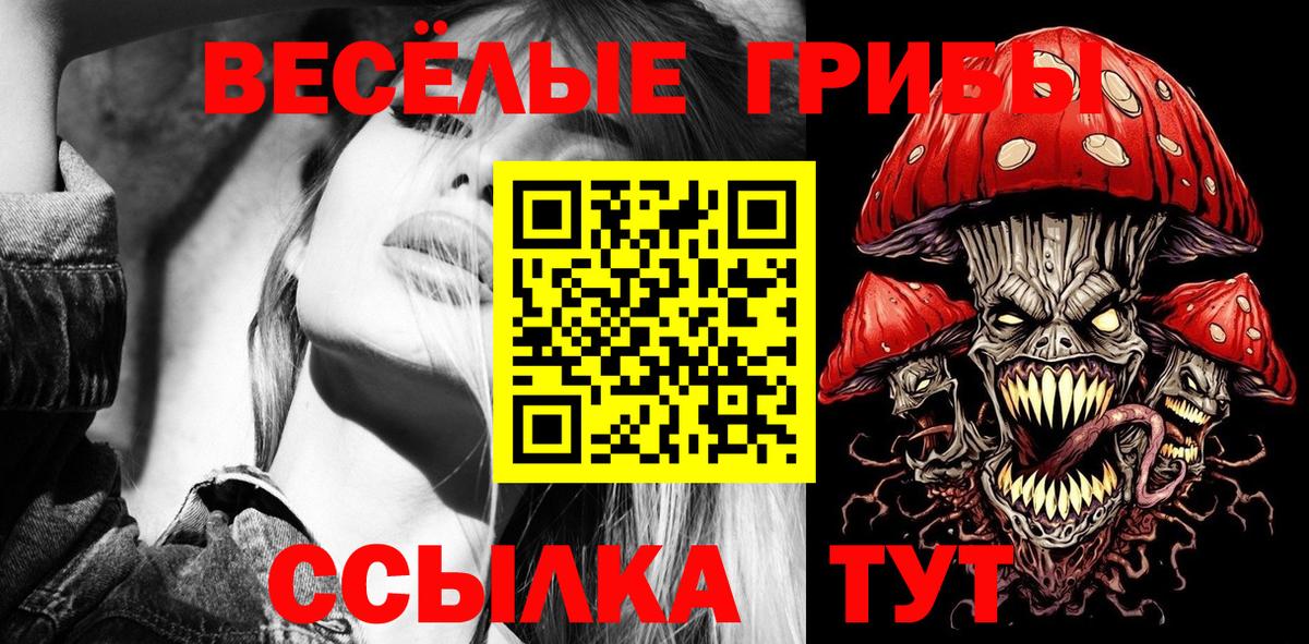 Псилоцибиновые грибы Magic Shrooms  Вход с VPN  Елец  закладка  Галлюциногенные грибы мухоморы 